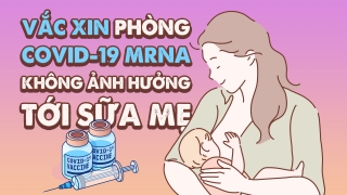 Vắc xin phòng COVID-19 mRNA không ảnh hưởng tới sữa mẹ