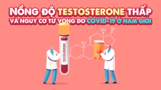 Nồng độ testosterone thấp và nguy cơ tử vong do COVID-19 ở nam giới