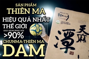 https://chunmani.vn/Thien-Ma-DAM-San-pham-so-1-danh-cho-benh-te-tay-chan-thieu-mau-nao-dau-dau-va-tai-bien