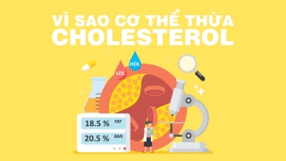 Vì sao cơ thể thừa cholesterol